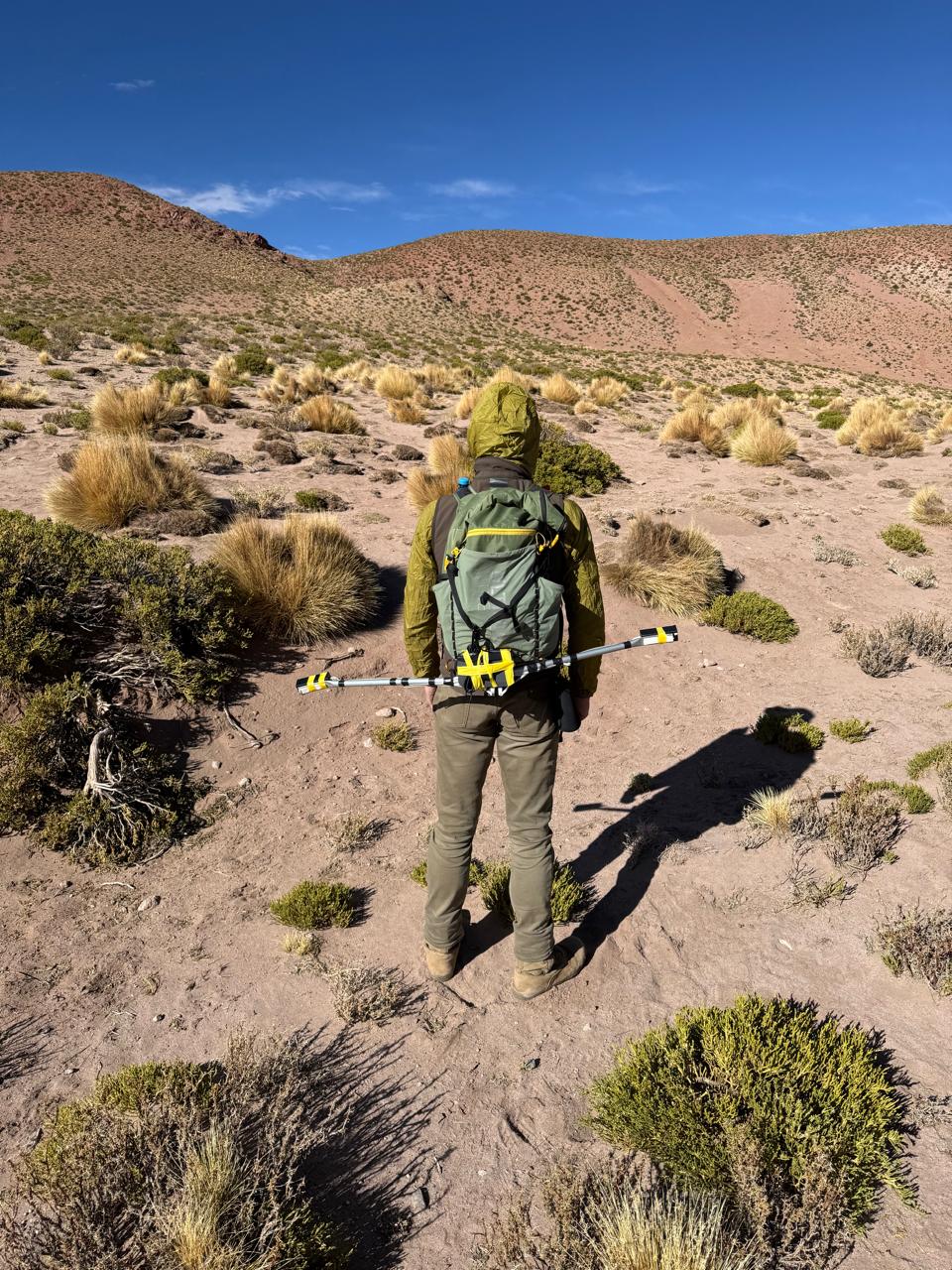 Geologist carrying a magnetometer on a backpack frame across the altiplano, confirming soil anomalies