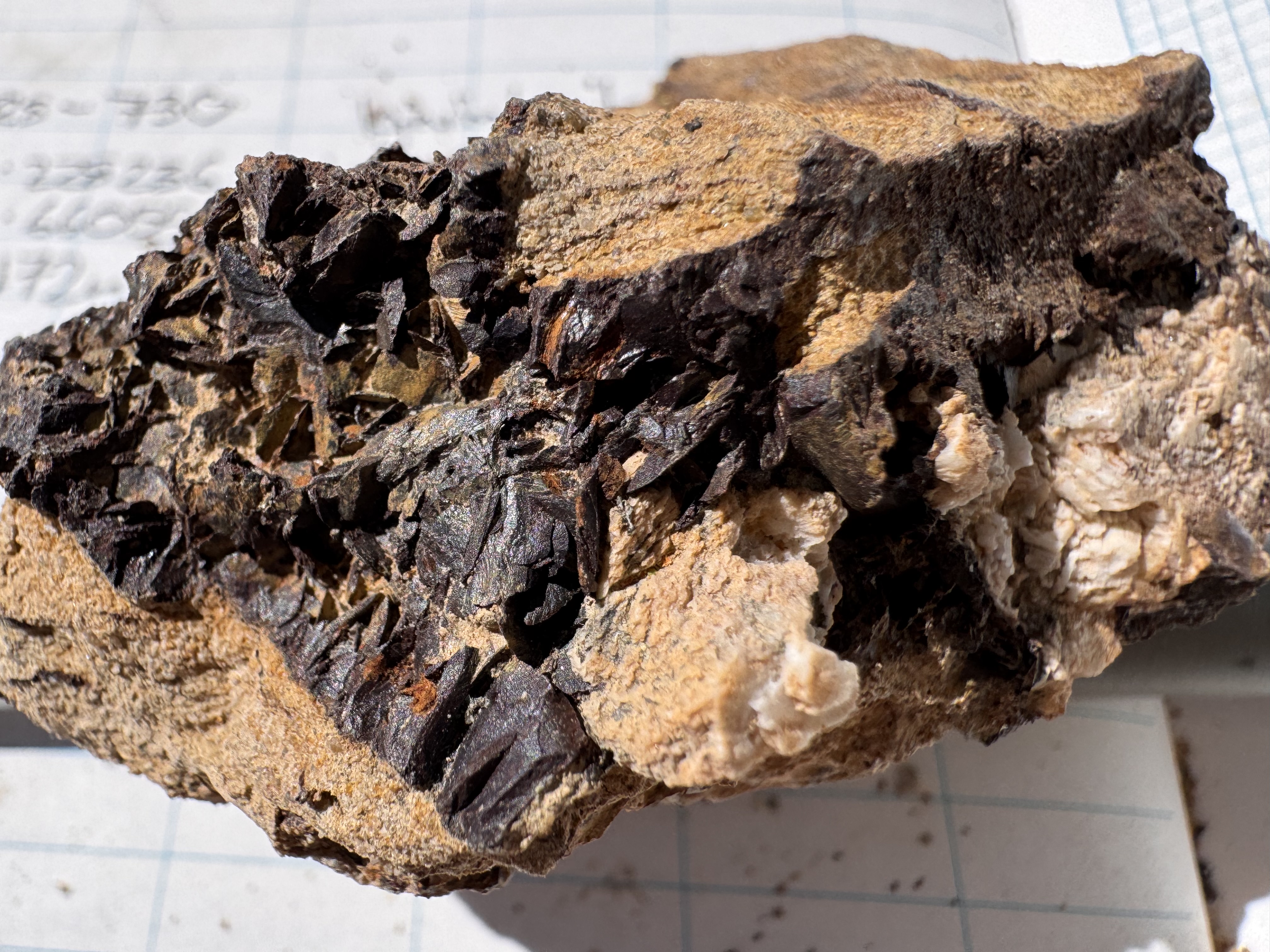 Hand specimen with dark crystalline mineralisation on grid paper