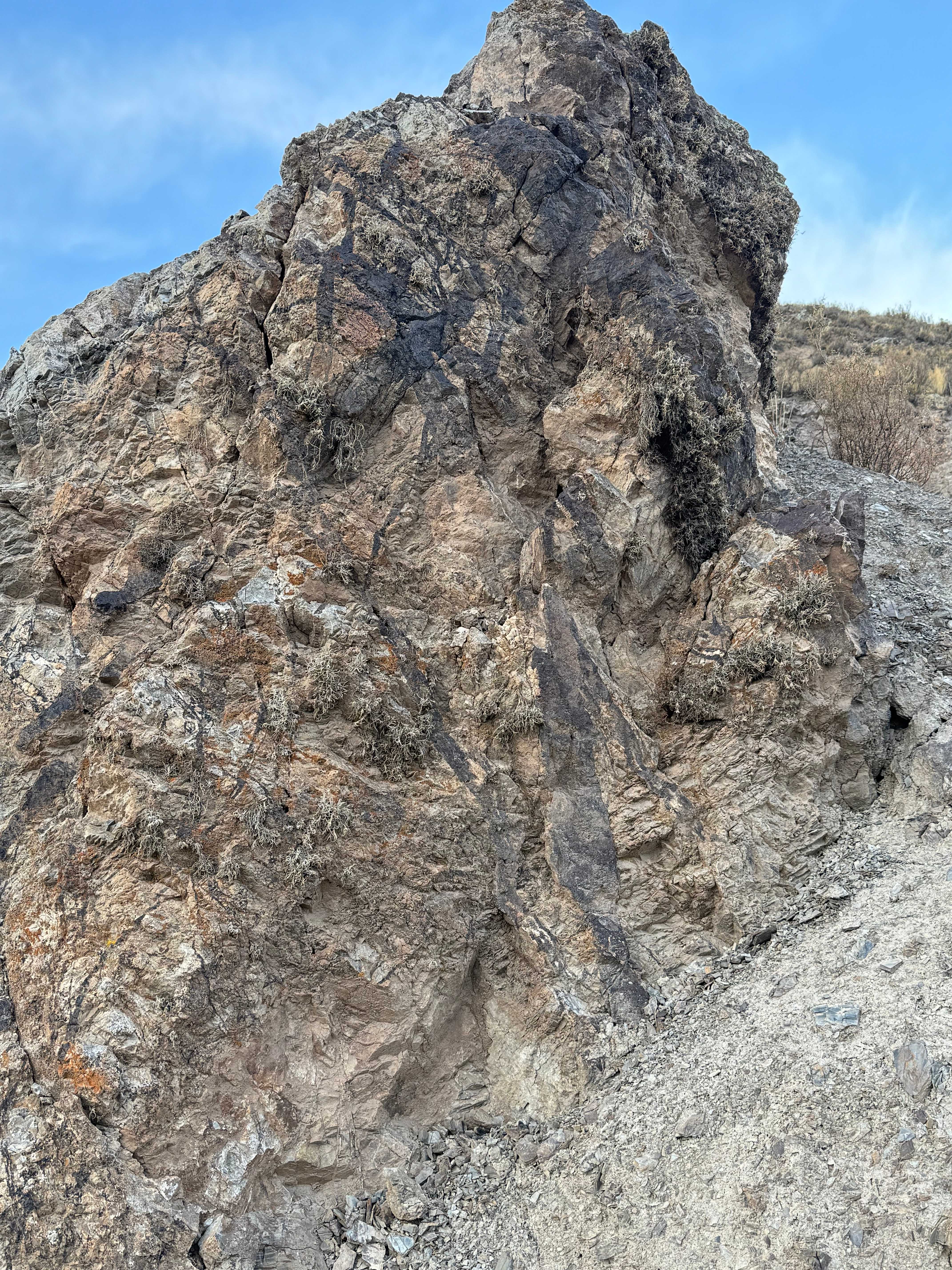 Outcrop on the Bolivian Altiplano cut by a network of dark cross-cutting veins