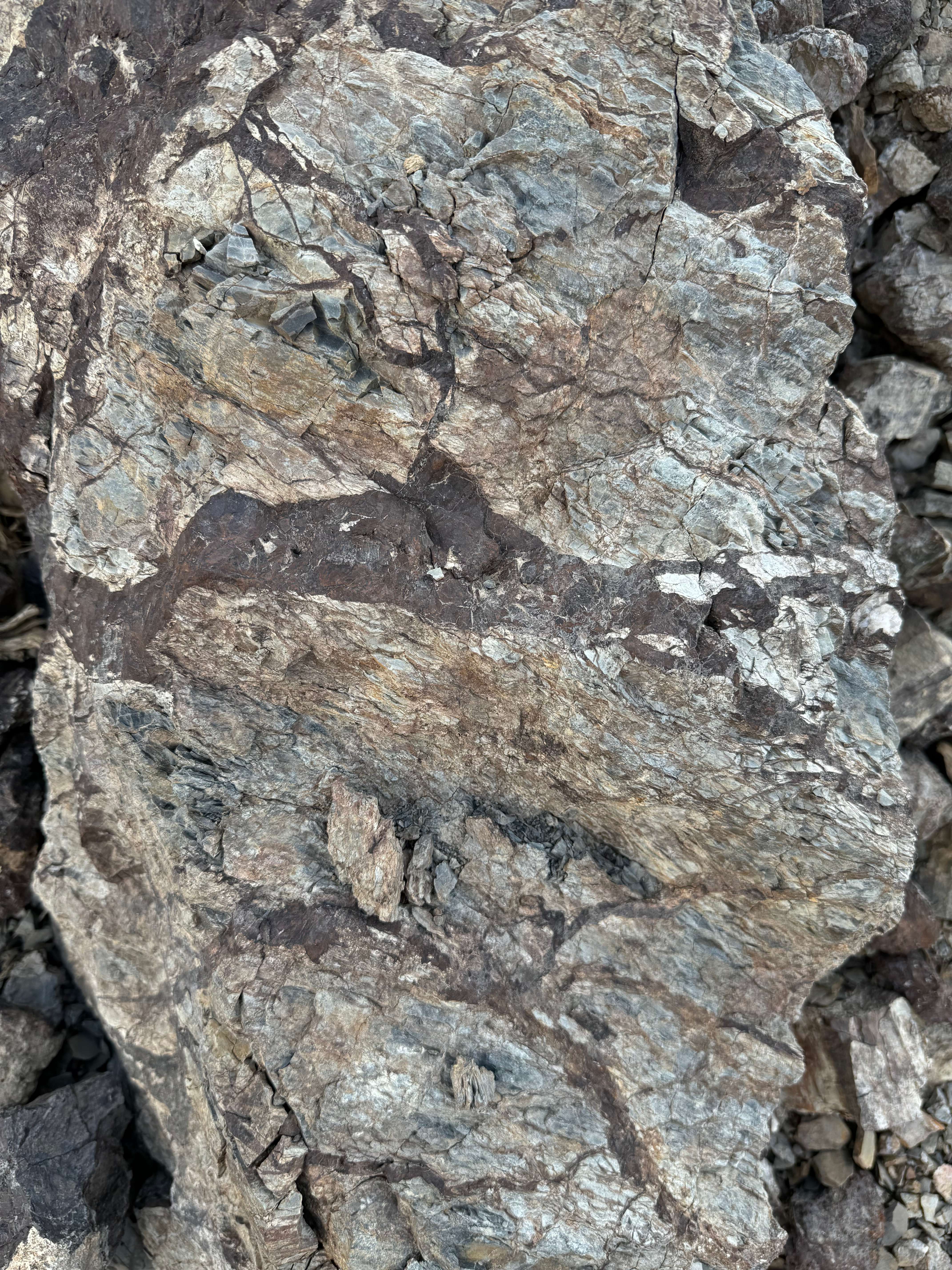 Close-up of dark veins cutting altered grey-green host rock